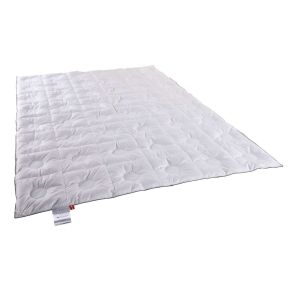 Ringsted Dun Countdown dyne - Lun